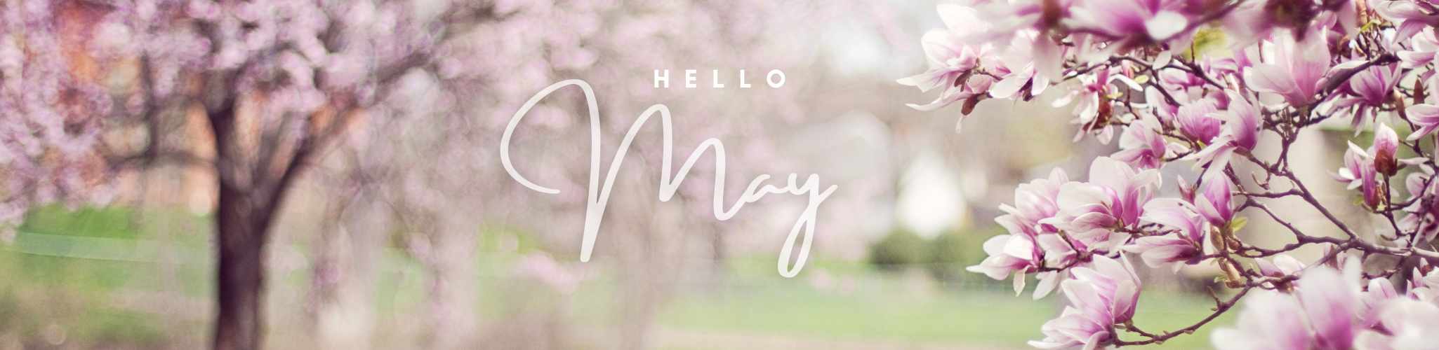 Hello May banner with cherry blossoms